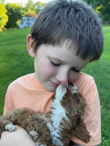 A child holding a puppy outdoors