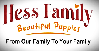 Hess Family Beautiful Puppies Logo