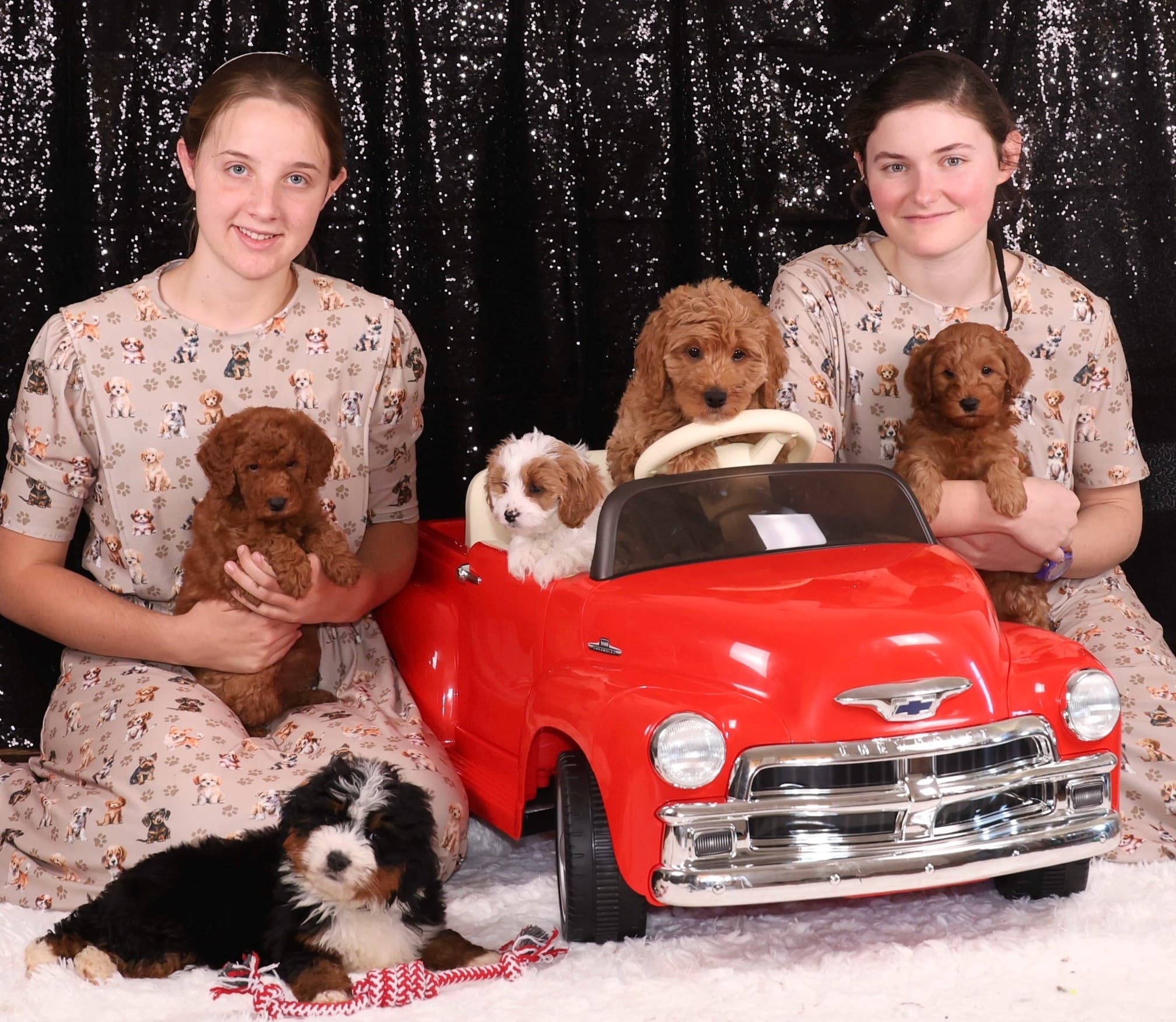 Hess Family Beautiful Puppies